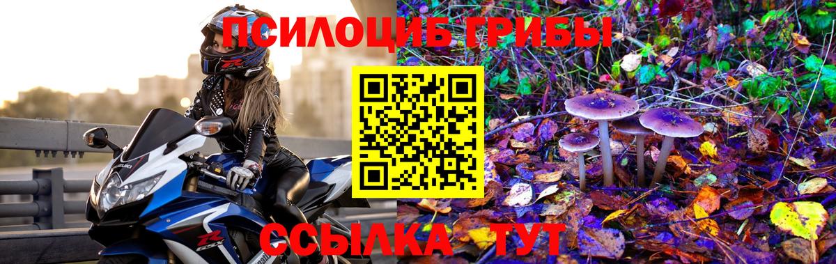 Псилоцибиновые грибы прущие грибы  Галлюциногенные грибы Cubensis  Вход с VPN  Грязи 